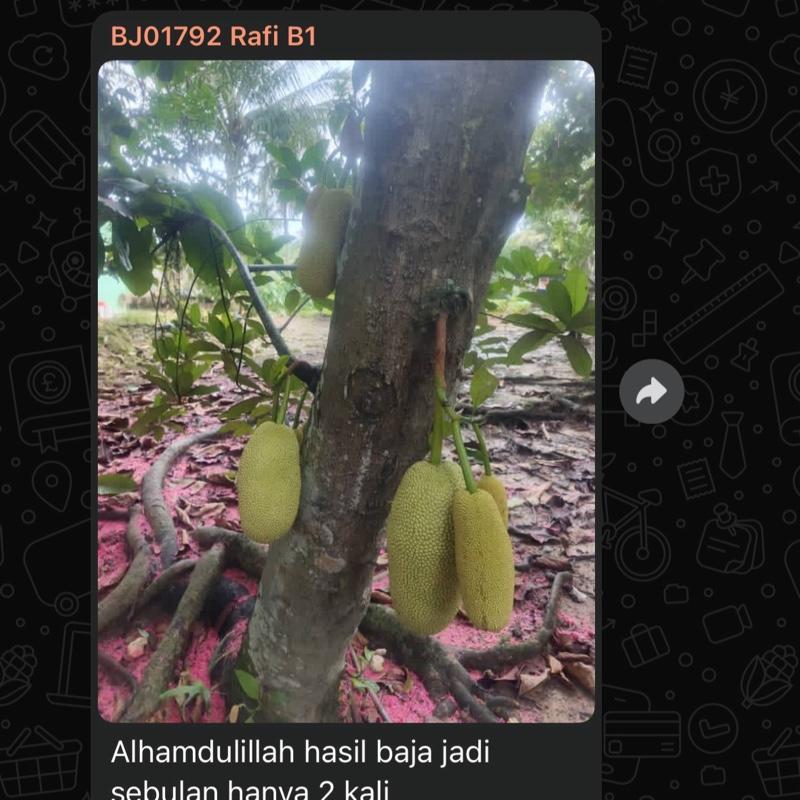 BAJA JADI ORGANIK SUPER ACTIVE