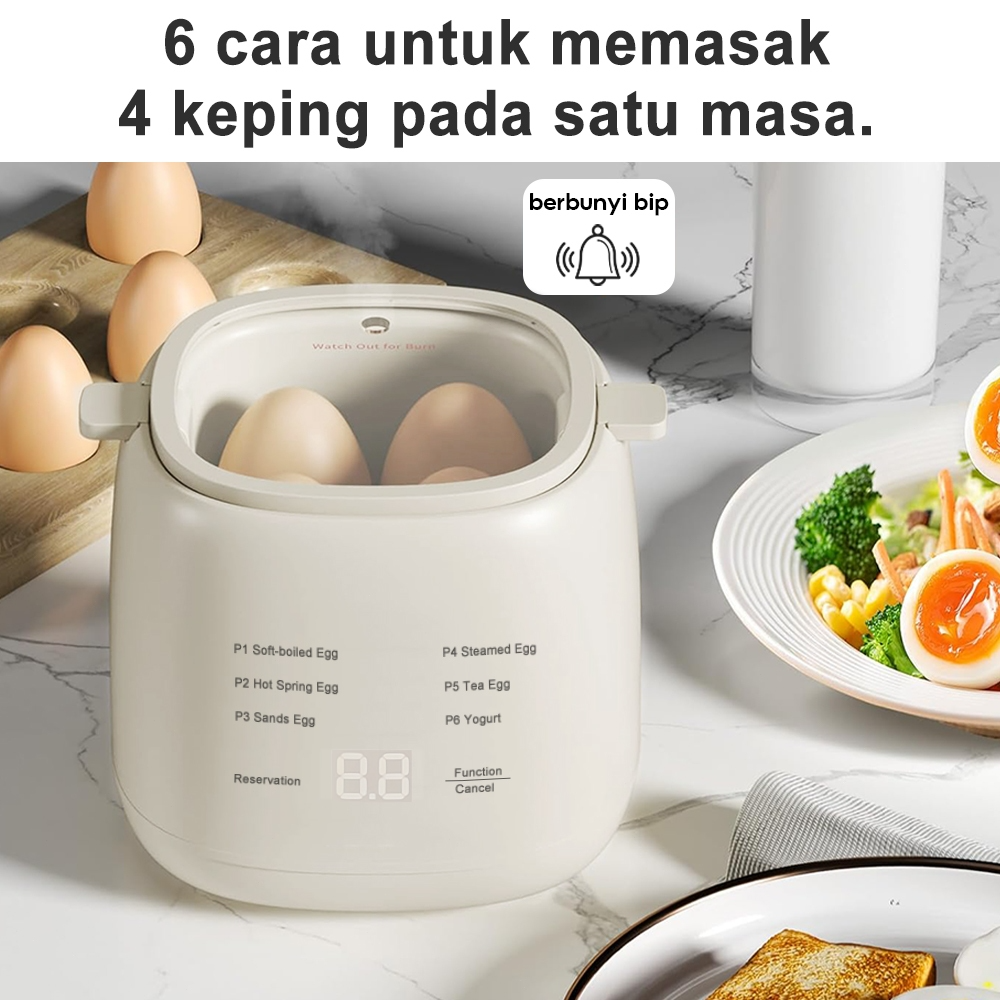 EGG Boiler