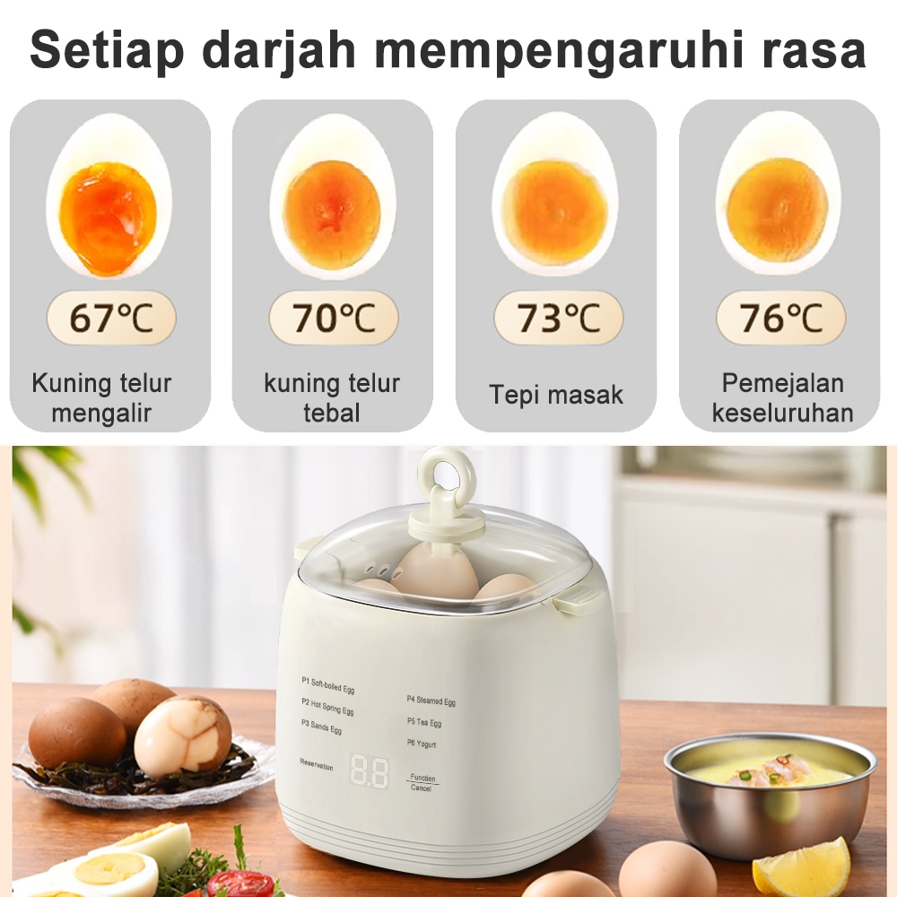 EGG Boiler