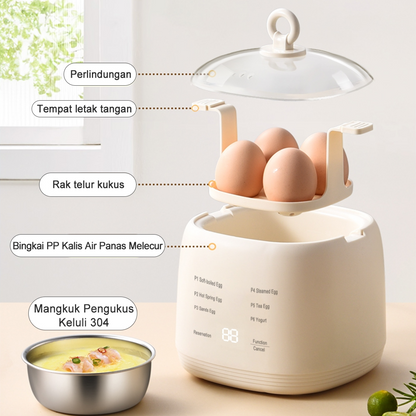 EGG Boiler
