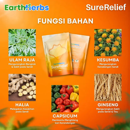 EarthHerbs SureRelief Knee Patch