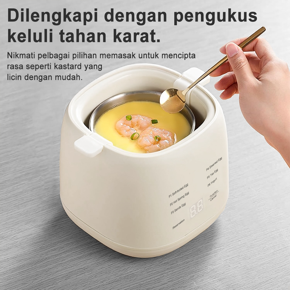 EGG Boiler