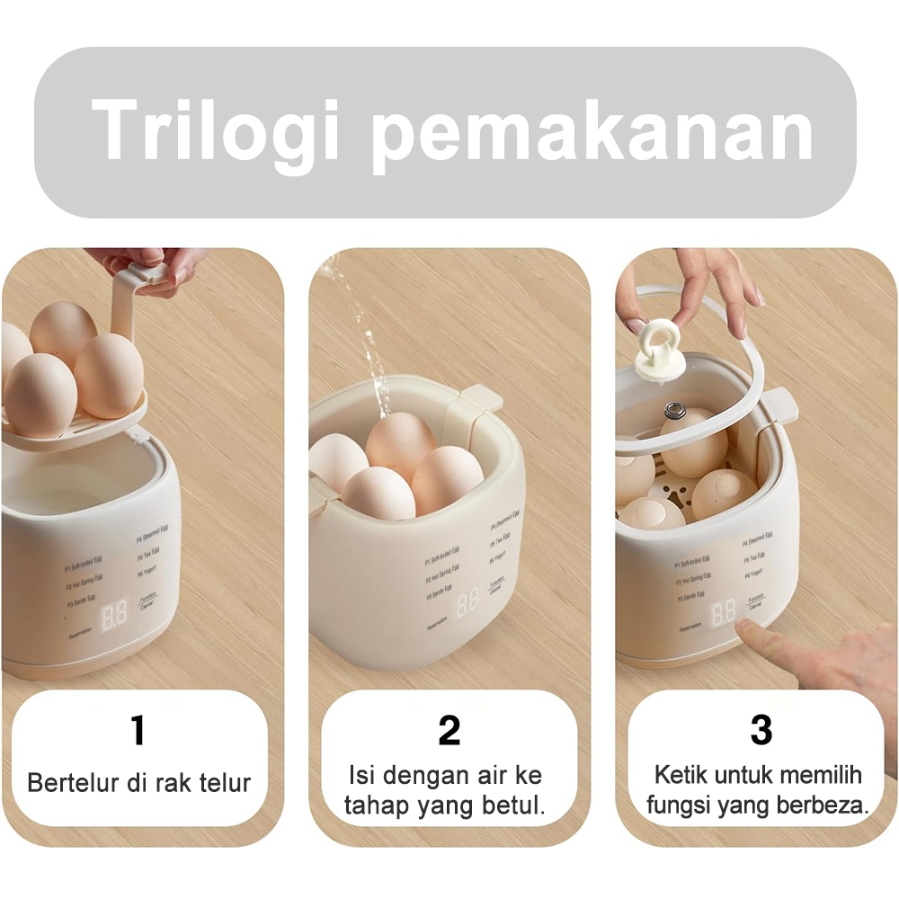 EGG Boiler