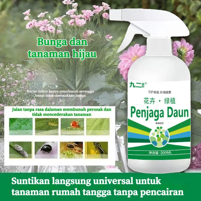 Botanical Insecticide Spray