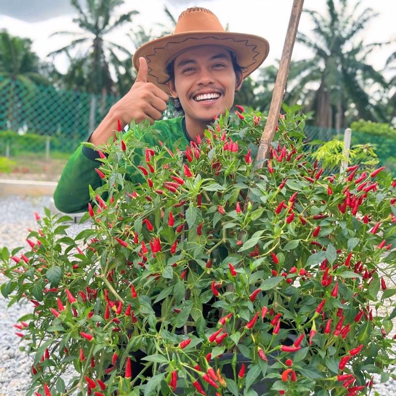 BAJA JADI ORGANIK SUPER ACTIVE